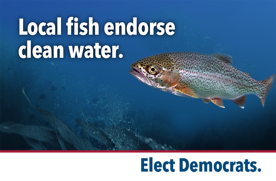 Local fish endorse clean water.